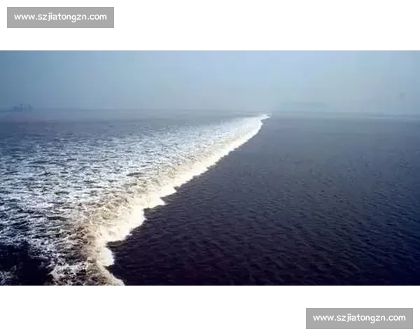 钱江观潮丨 “琴键胖子” 与 “赛场诗人” 的双面人生